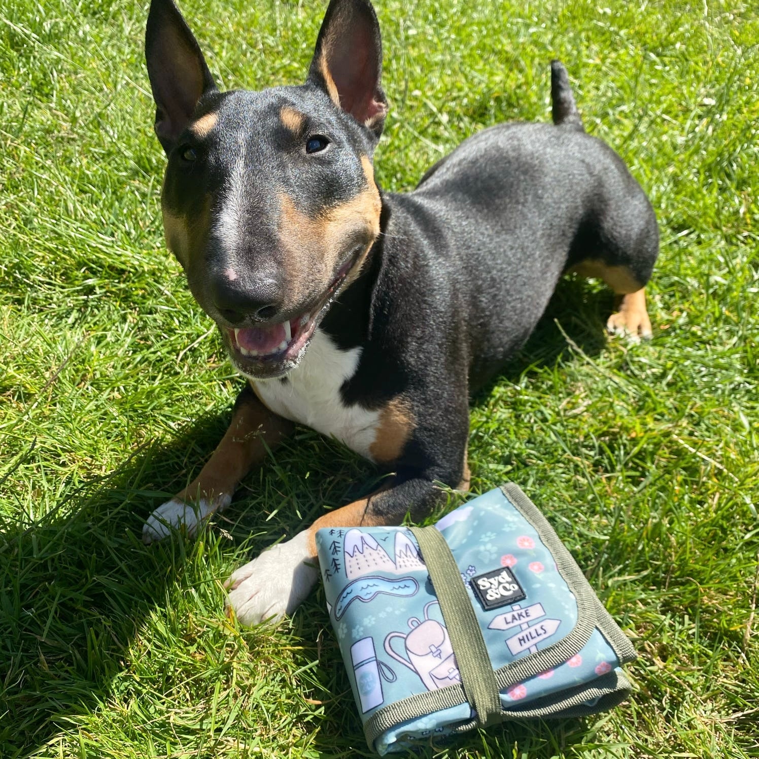 Paws Outdoors Sit Mat