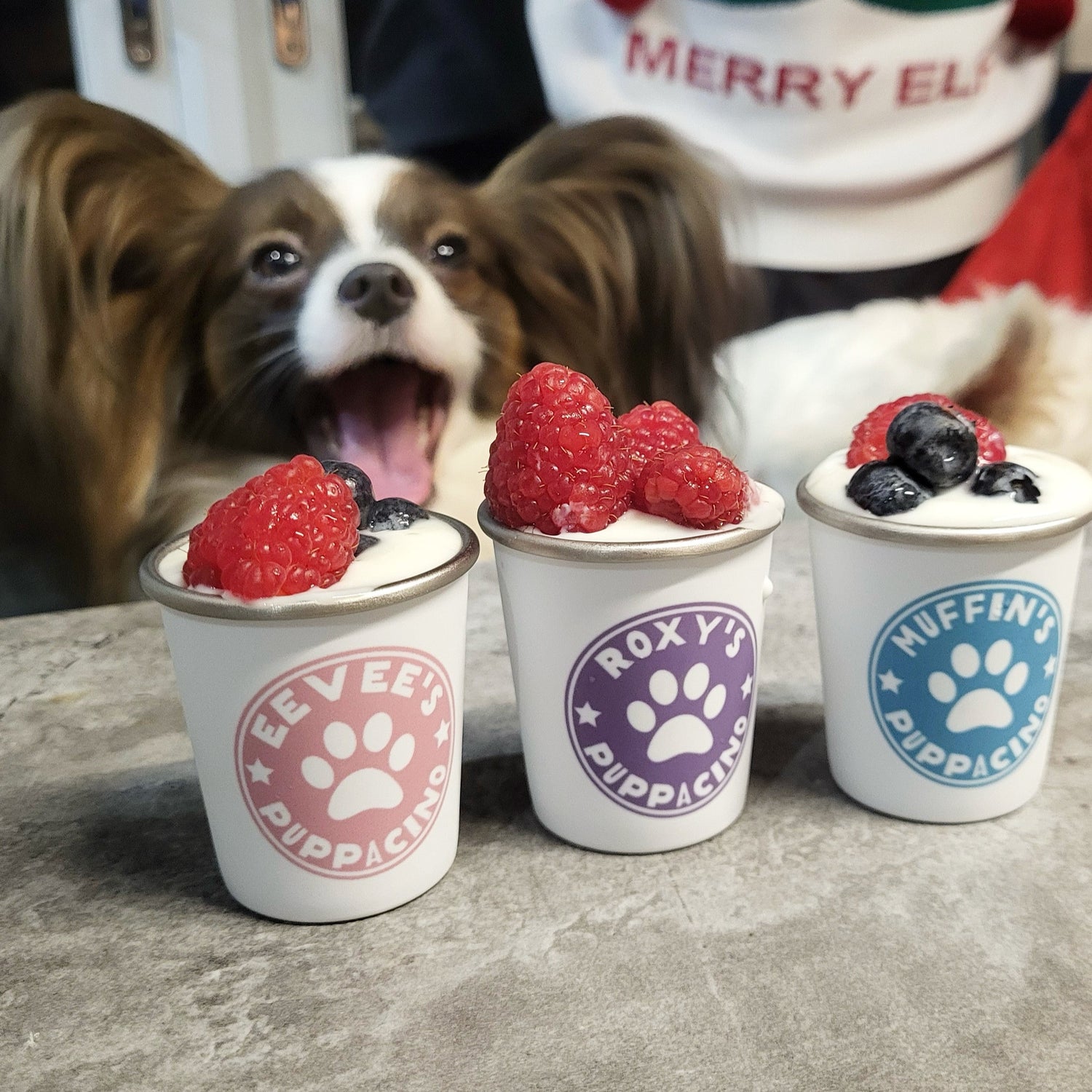 Personalised Paw Print Pup Cup