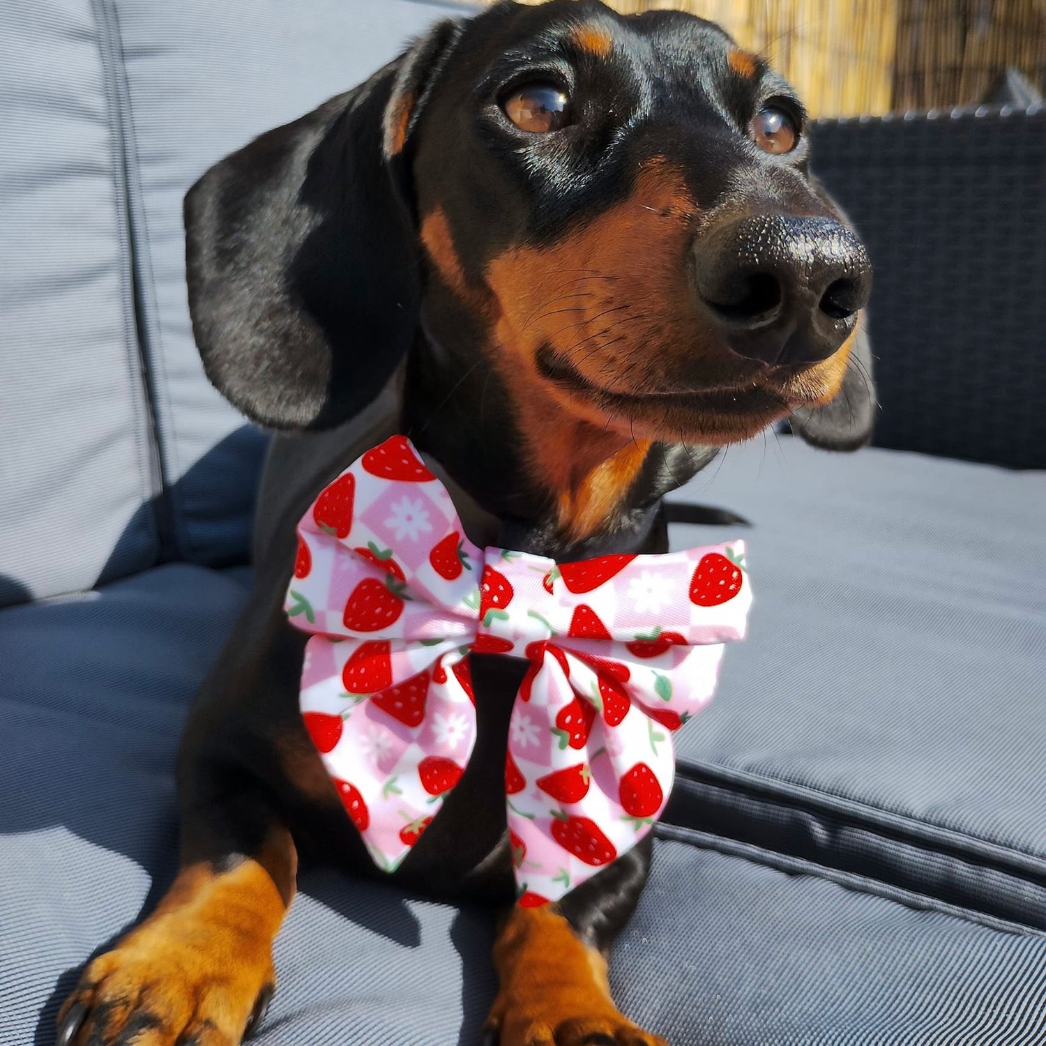 Berry Good Strawberry Sailor Bow