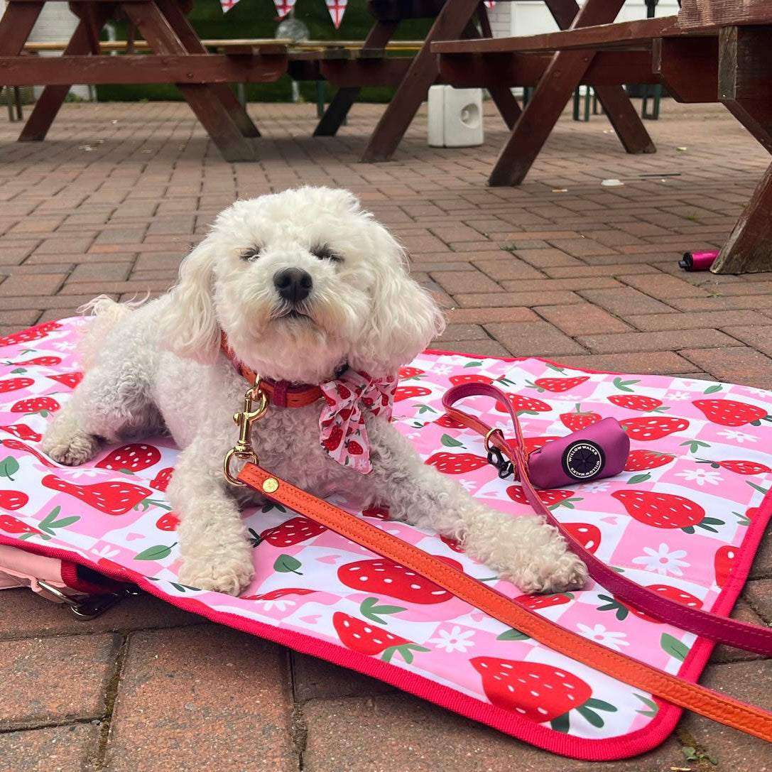 Berry Good Strawberry Travel Mat