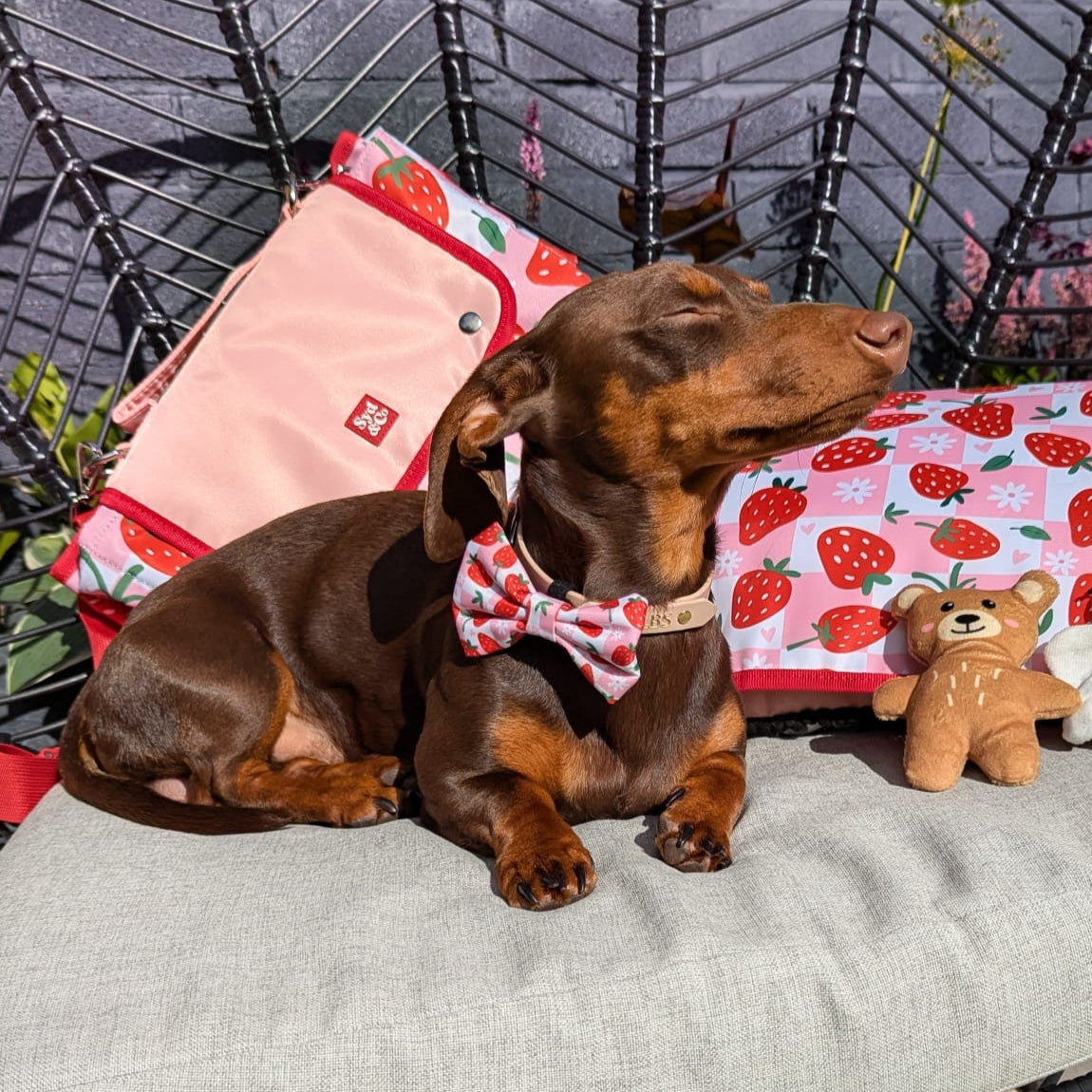 Berry Good Strawberry Mat bundle