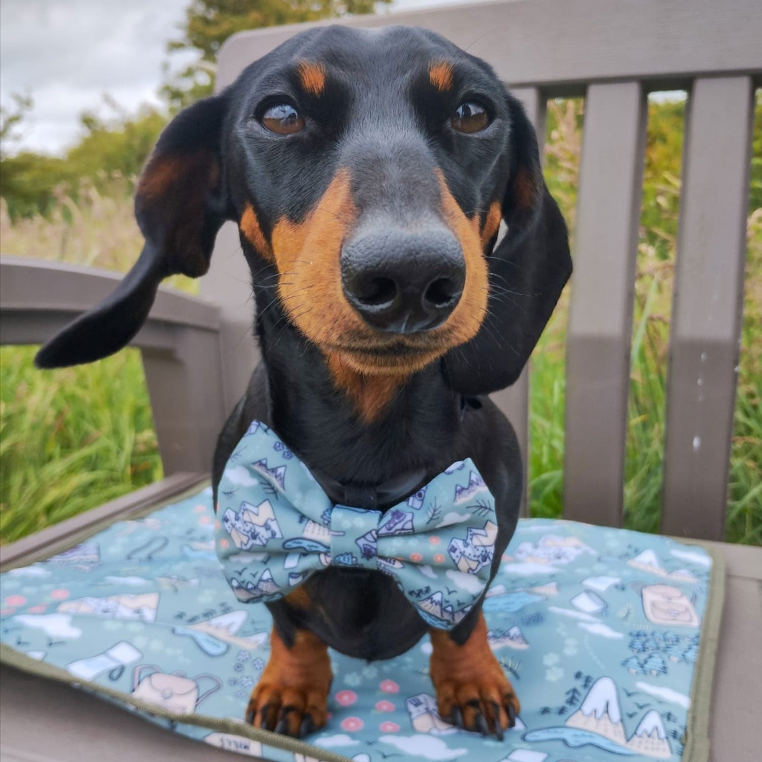 Paws Outdoors matching Bowtie