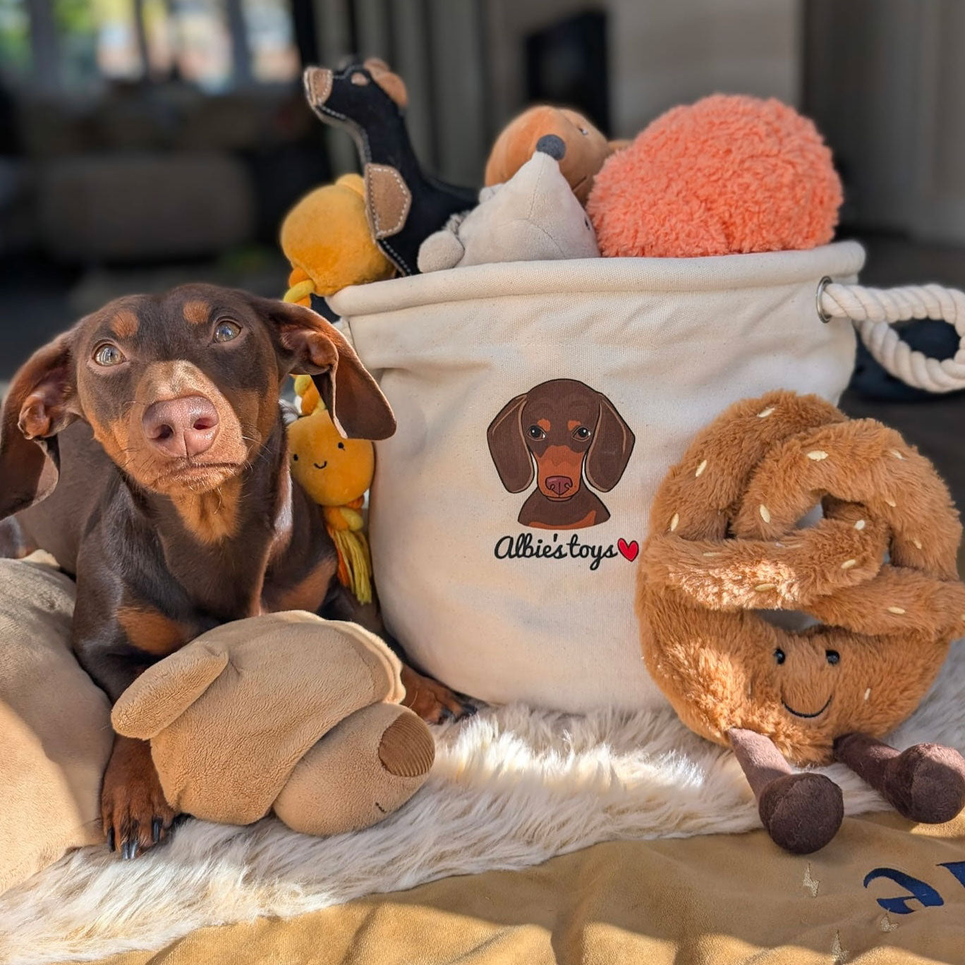 Personalised Dog Toy Storage Trug