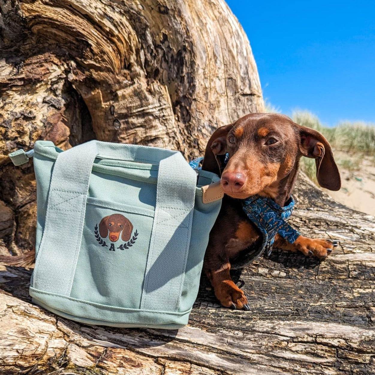 Personalised Sage Wanderland Lunch Bag