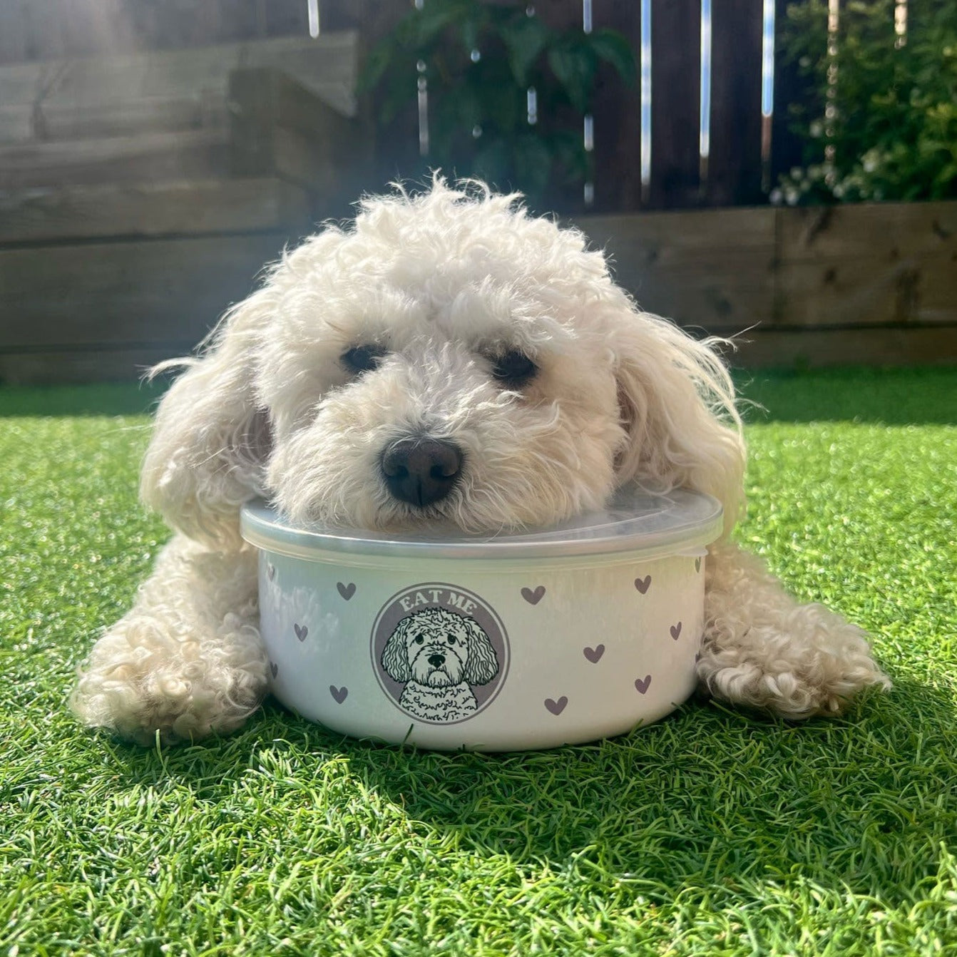 Personalised Wanderland Enamel Bowl