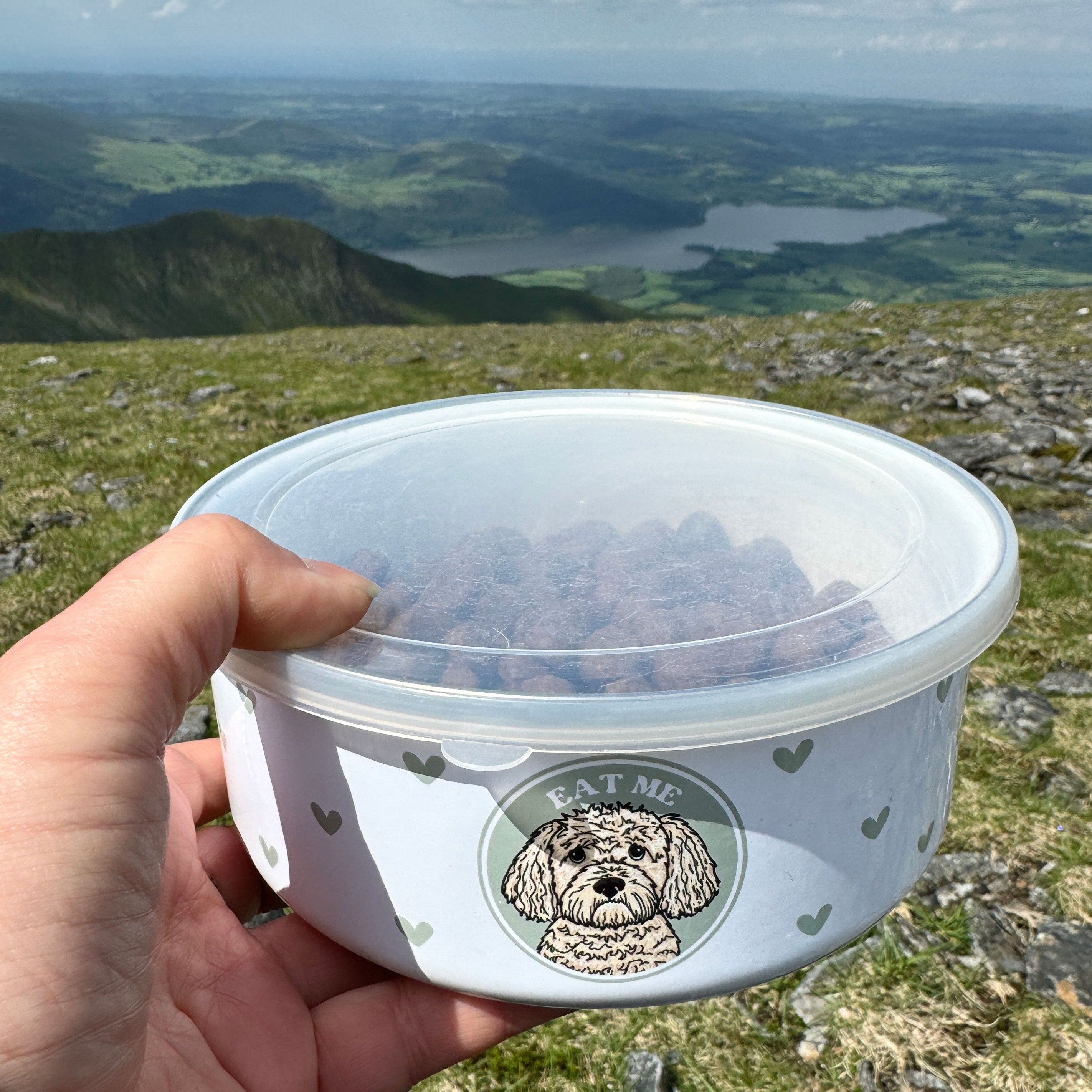 Personalised Wanderland Enamel Bowl