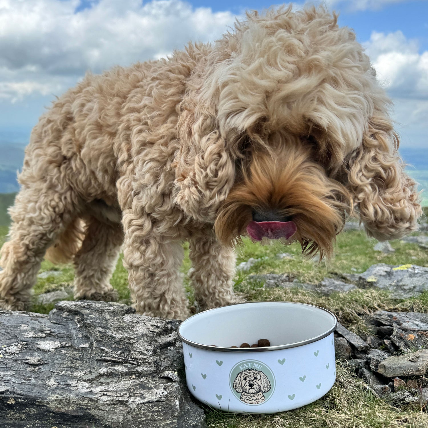 Personalised Wanderland Enamel Bowl