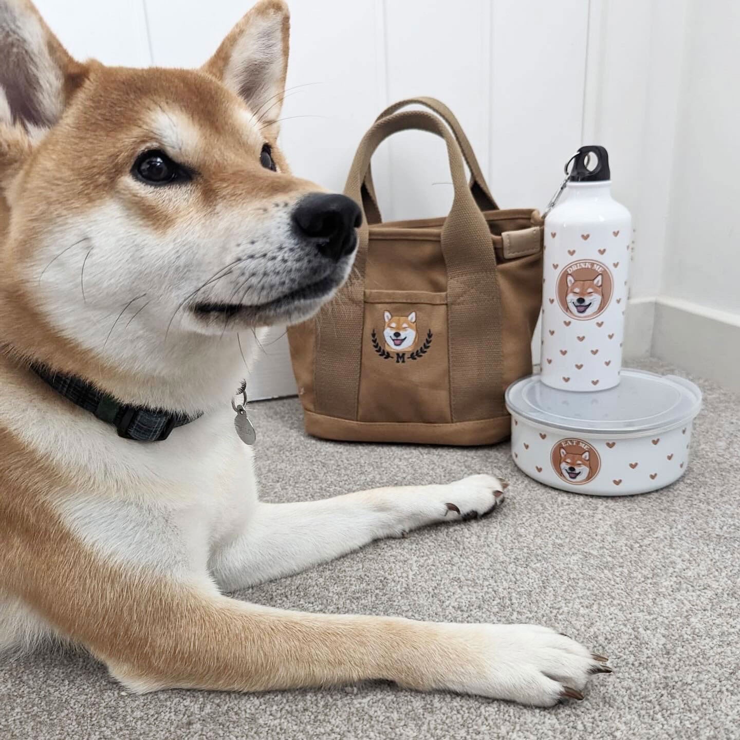 Limited Edition Personalised Toffee Wanderland Lunch bag Bundle