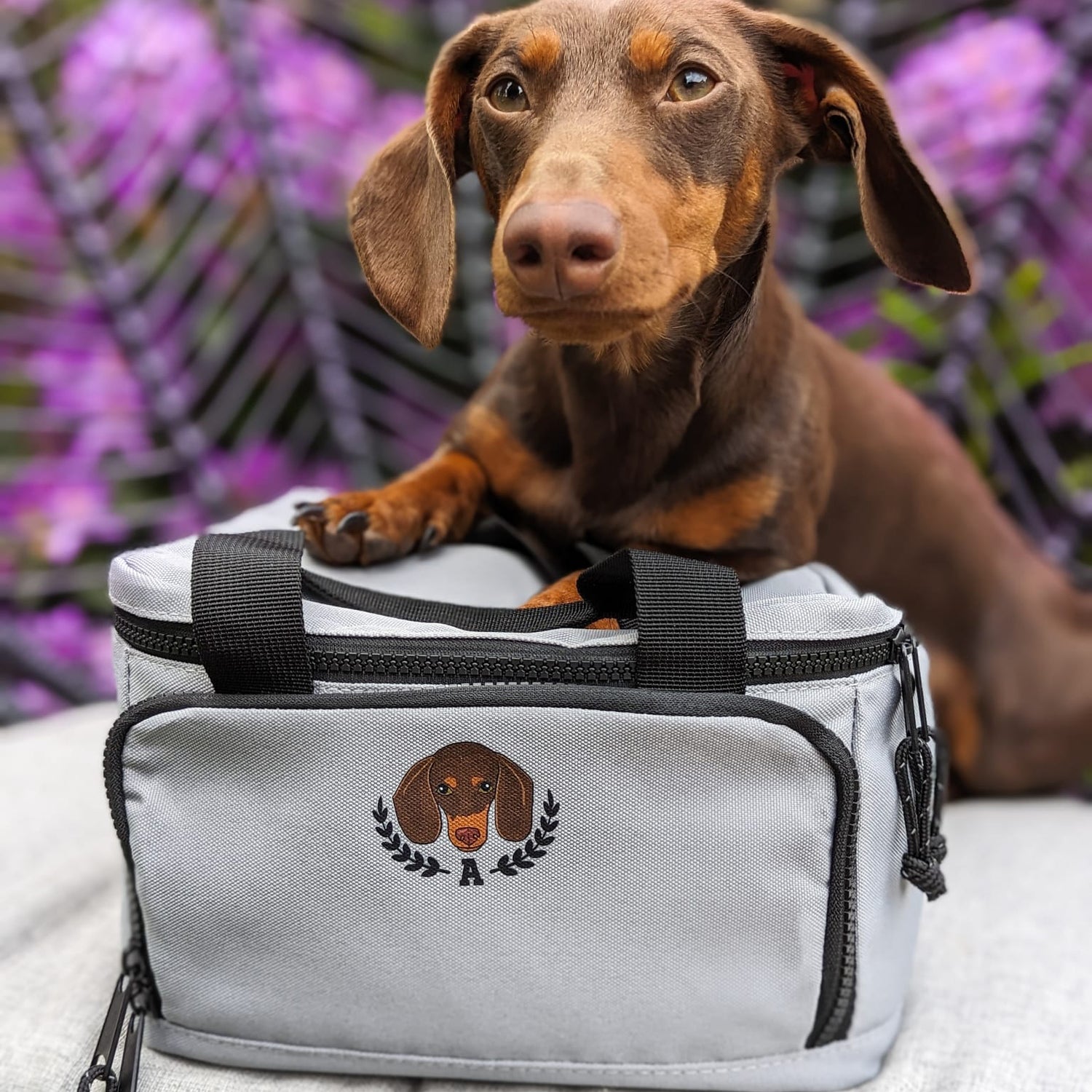 Personalised Varsity Cooler lunchbag