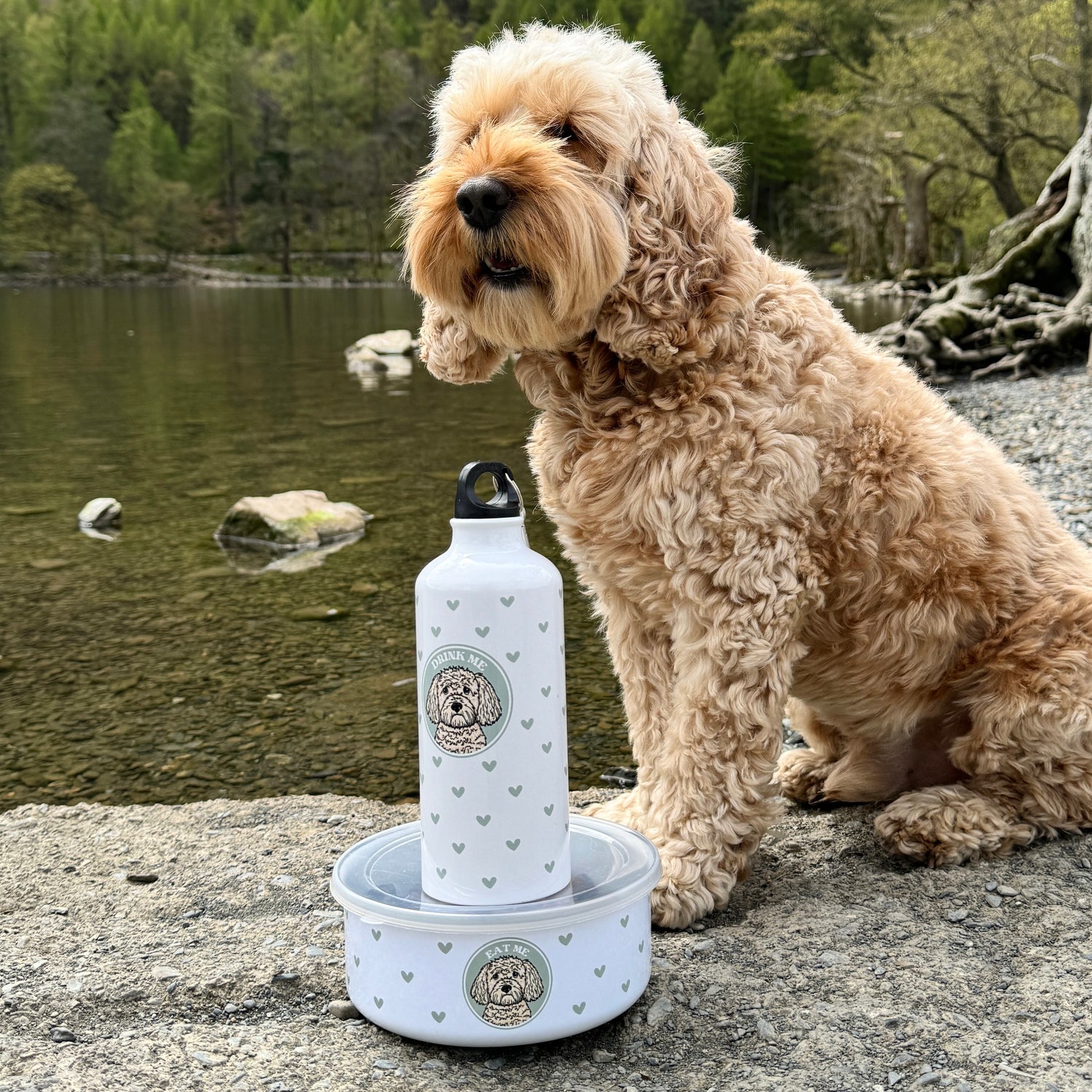 Personalised Wanderland Bowl and Water bottle Bundle