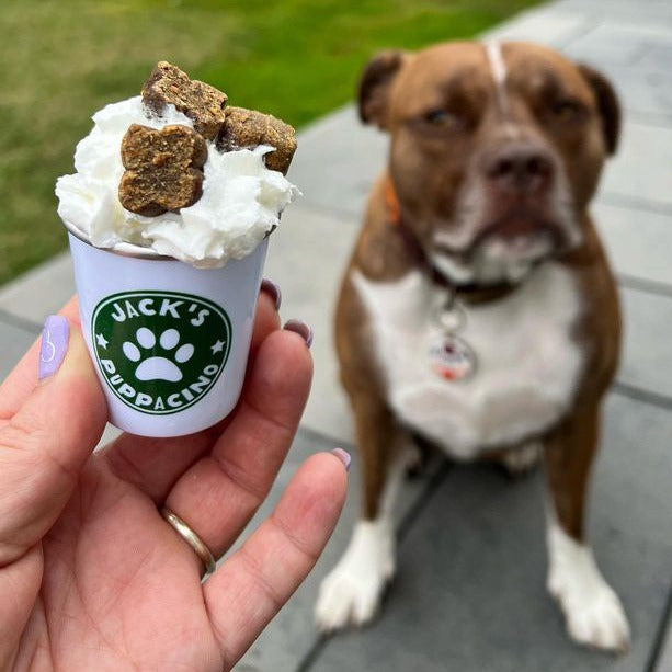 Personalised Paw Print Pup Cup