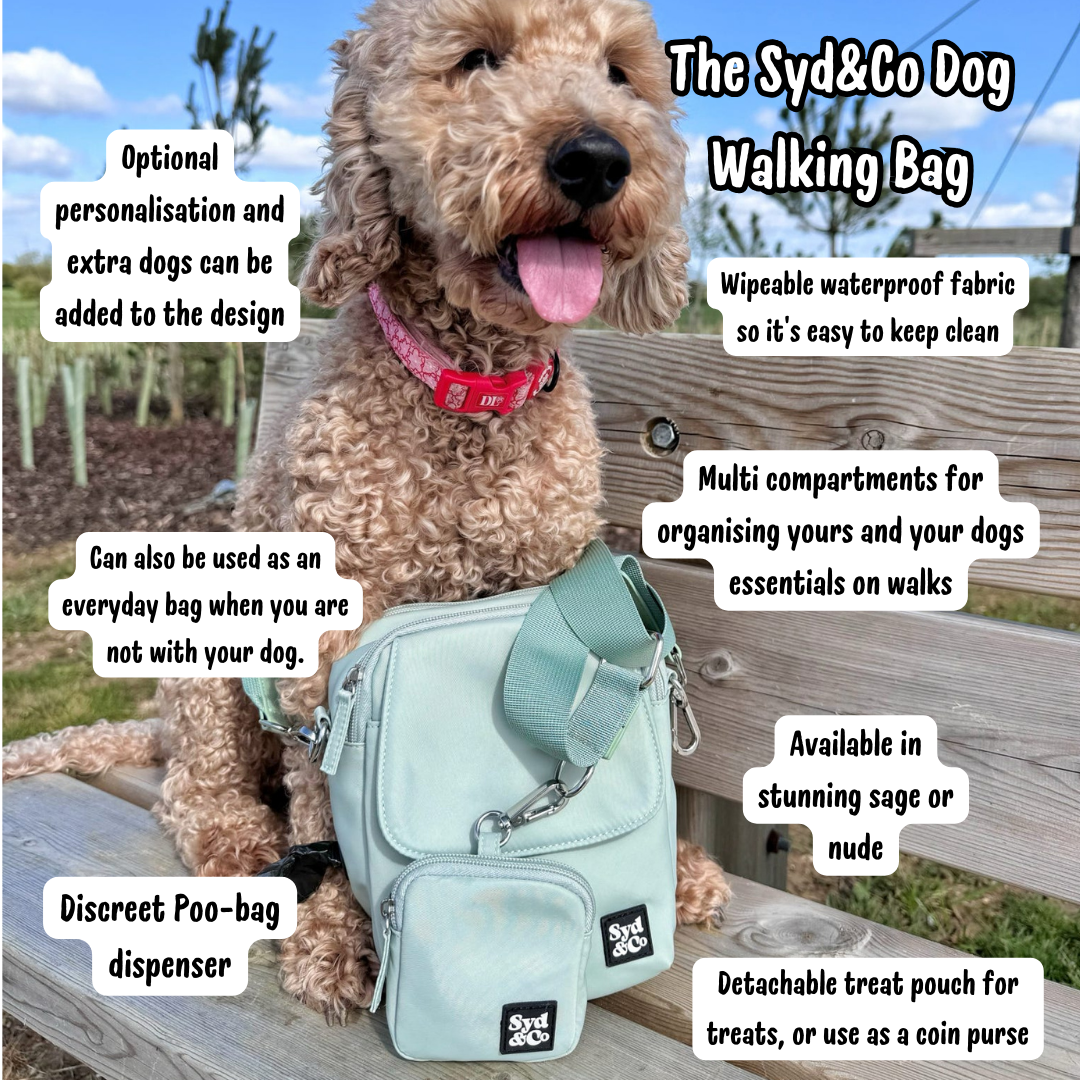 Unpersonalised Dog Walking Bag