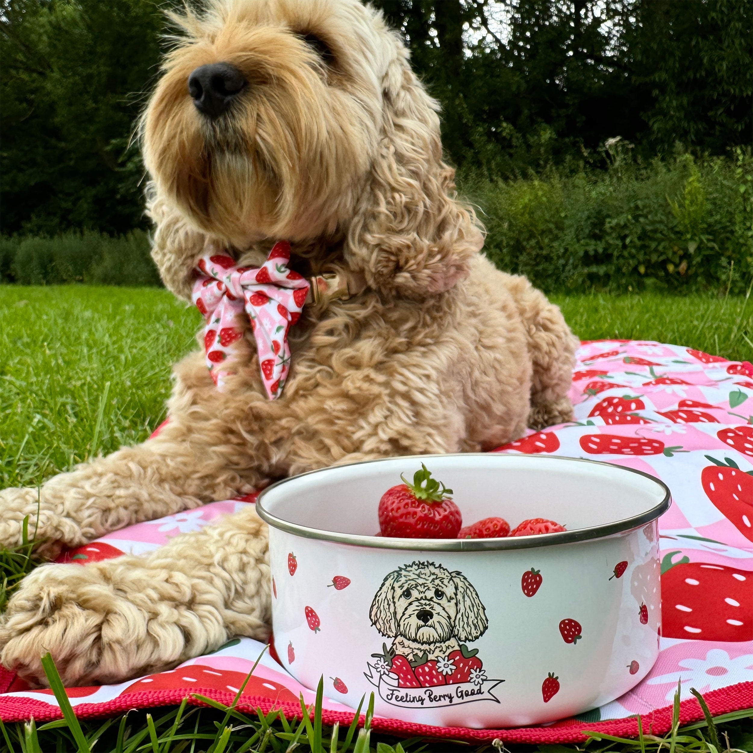 Personalised Berry Good Strawberry Enamel Bowl