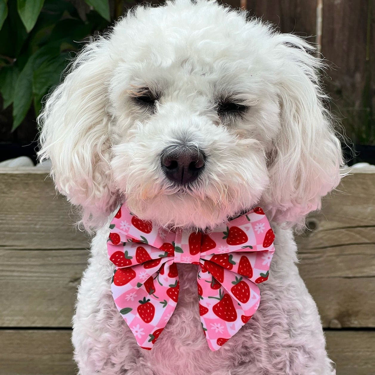 Berry Good Strawberry Sailor Bow