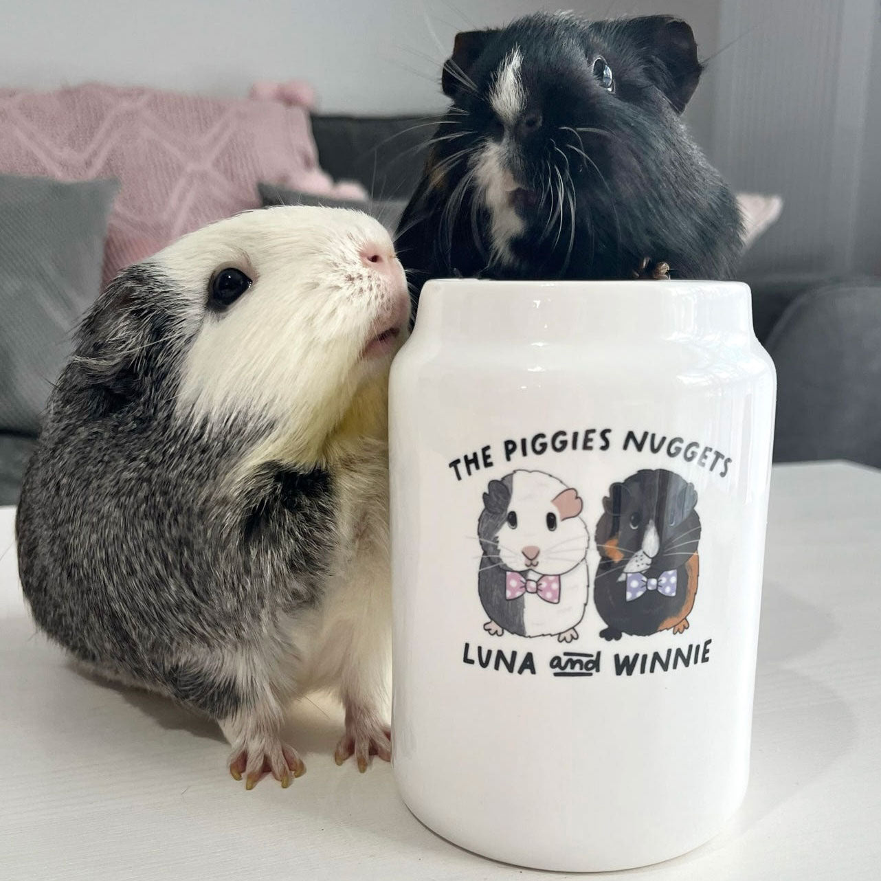 Personalised Guinea Pig Treat Jar