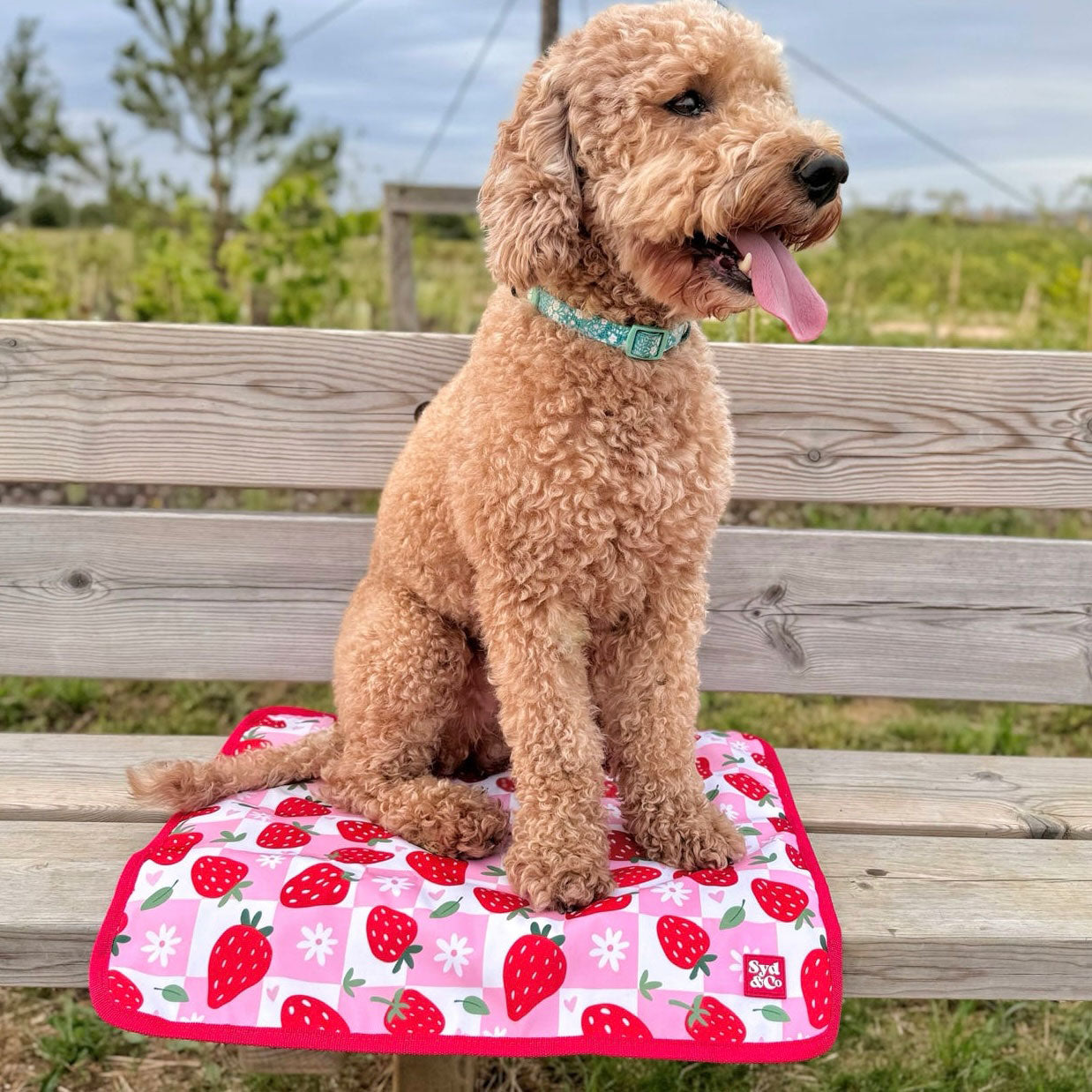 Berry Good Hiking Mat