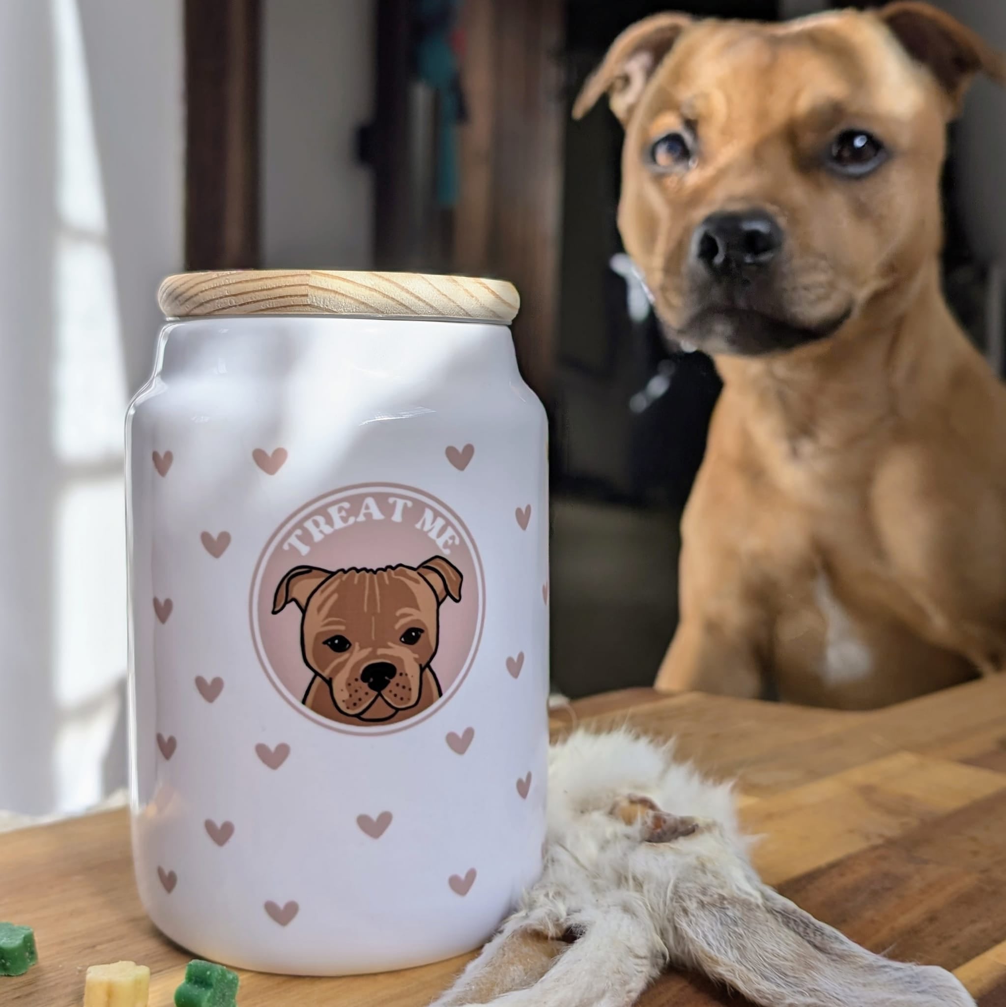 Wanderland Ceramic Pet Treat Jar