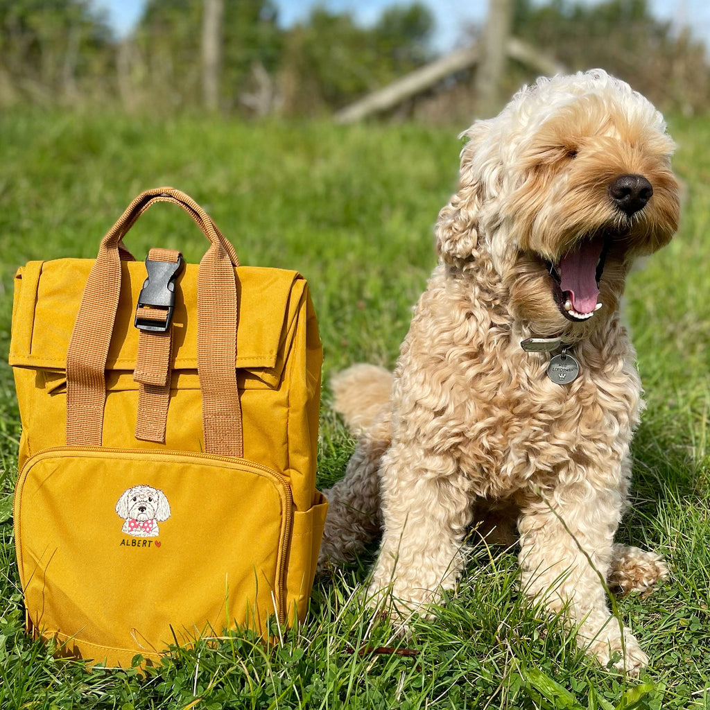 A dog outlet backpack