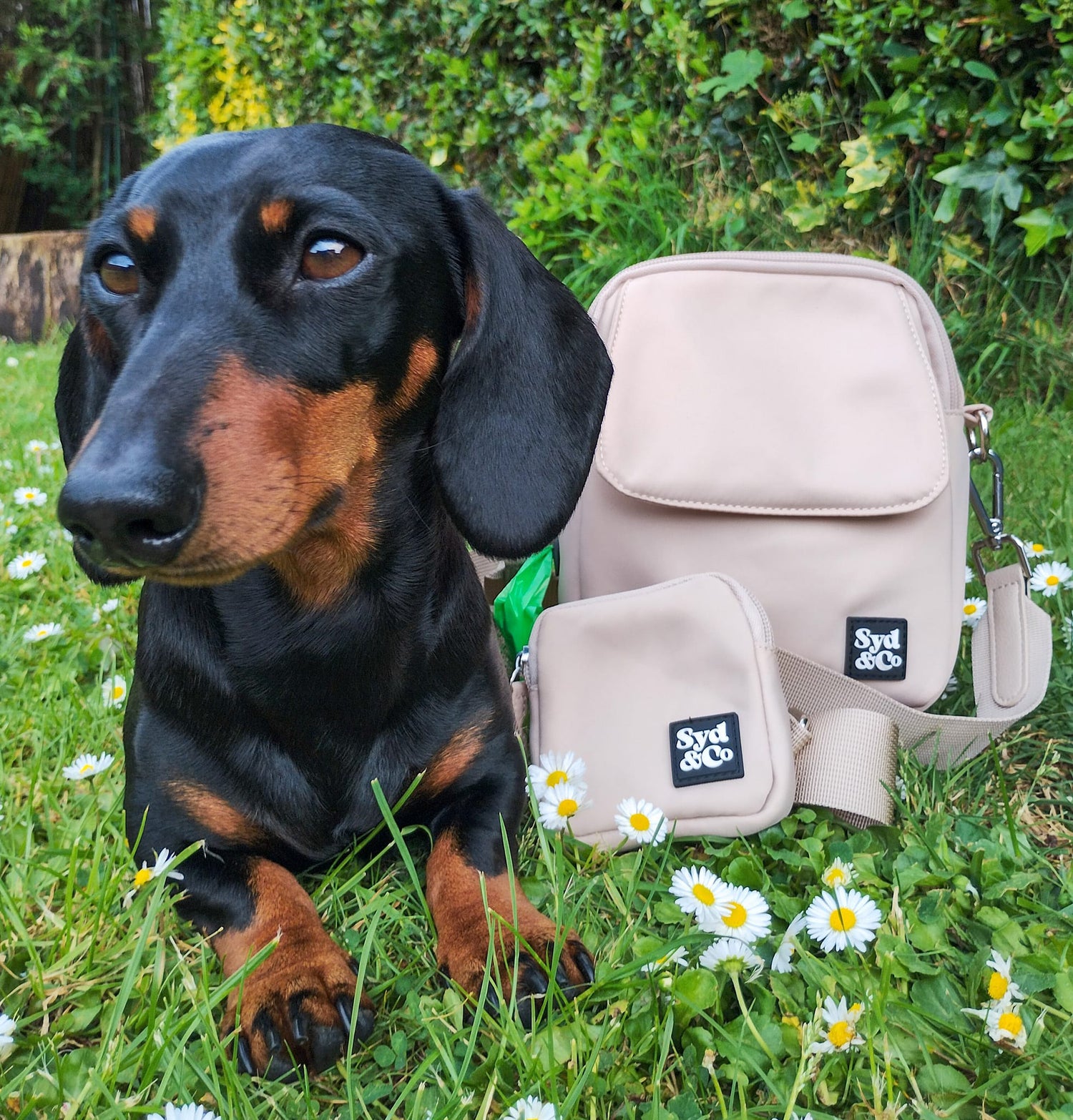 Unpersonalised Dog Walking Bag