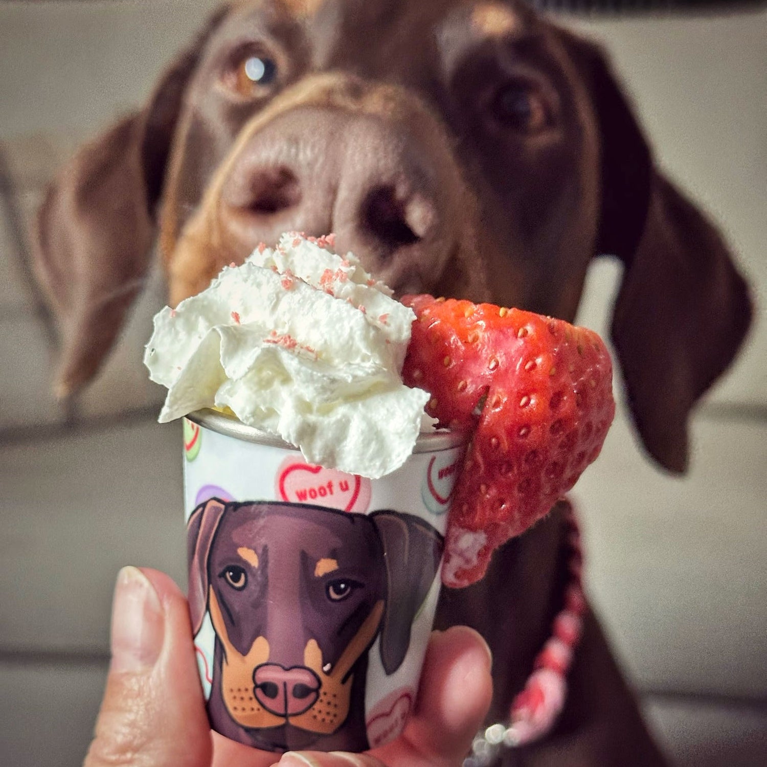 Personalised Sweet Heart You Pup Cup