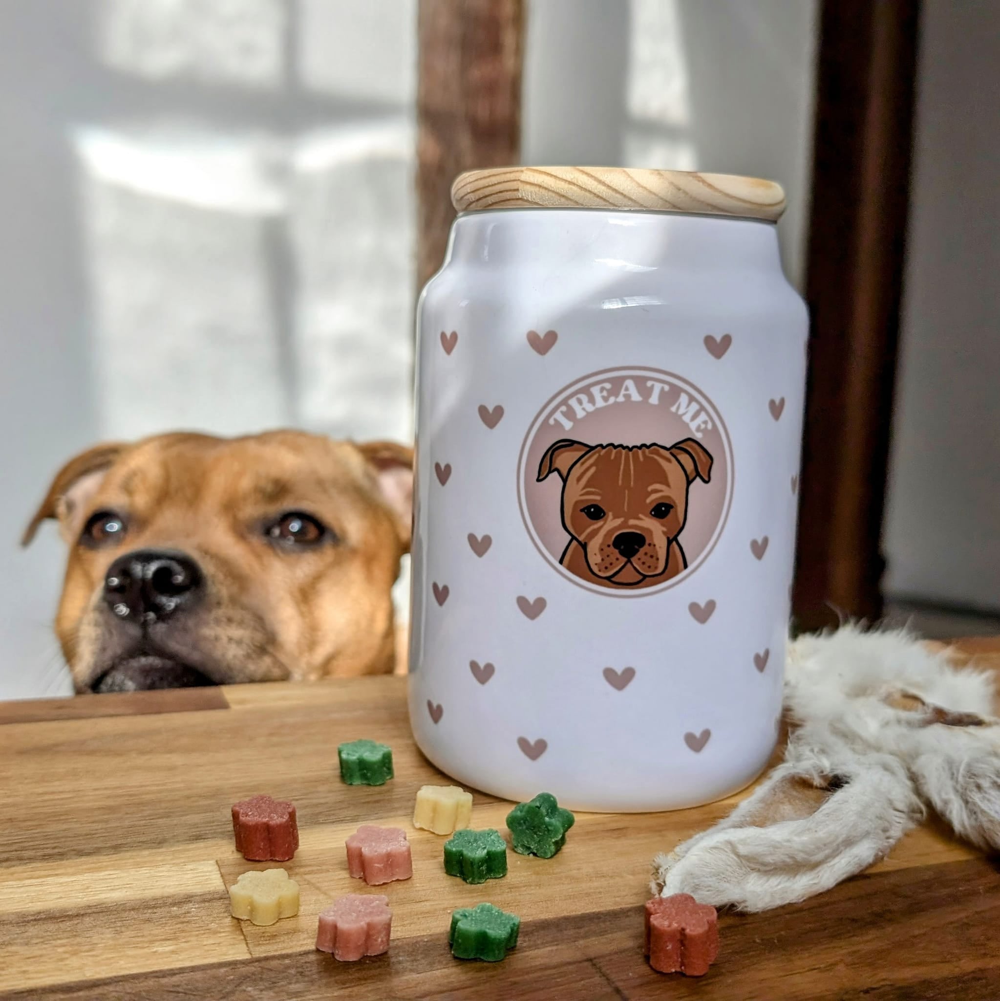 Wanderland Ceramic Pet Treat Jar