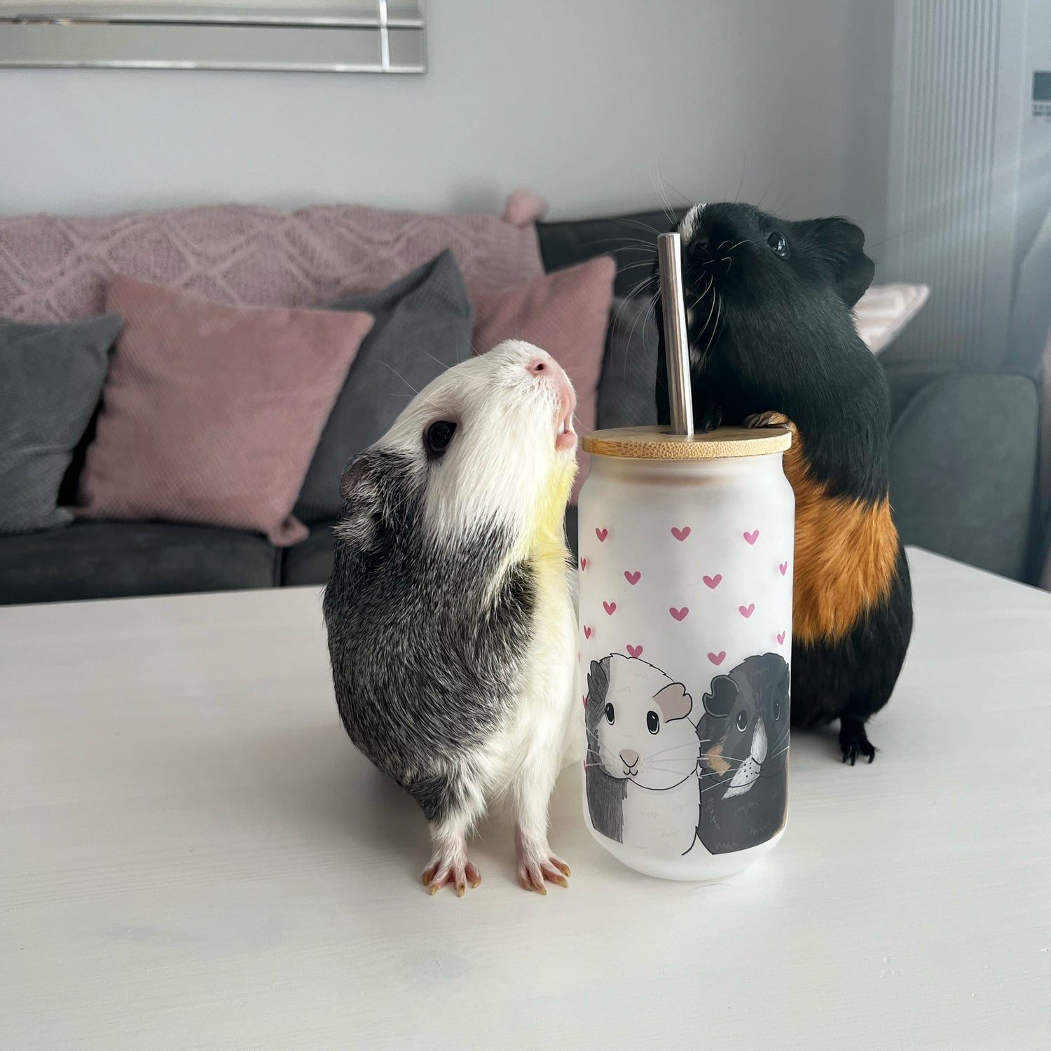 Dainty Heart guinea pig Ice cup