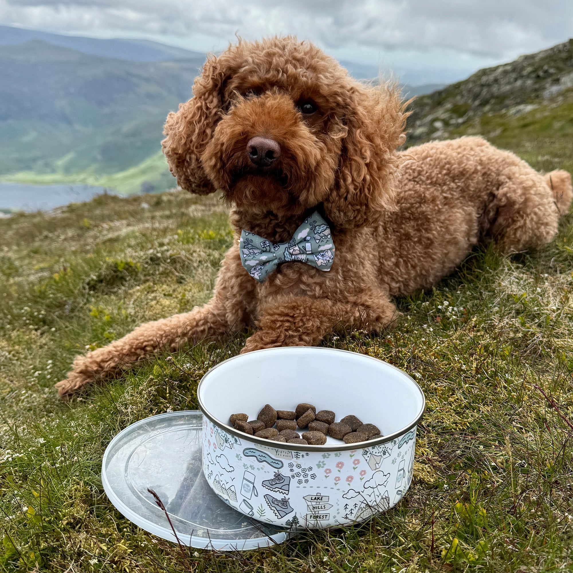 Paws Outdoors Travel Adventure Bowl