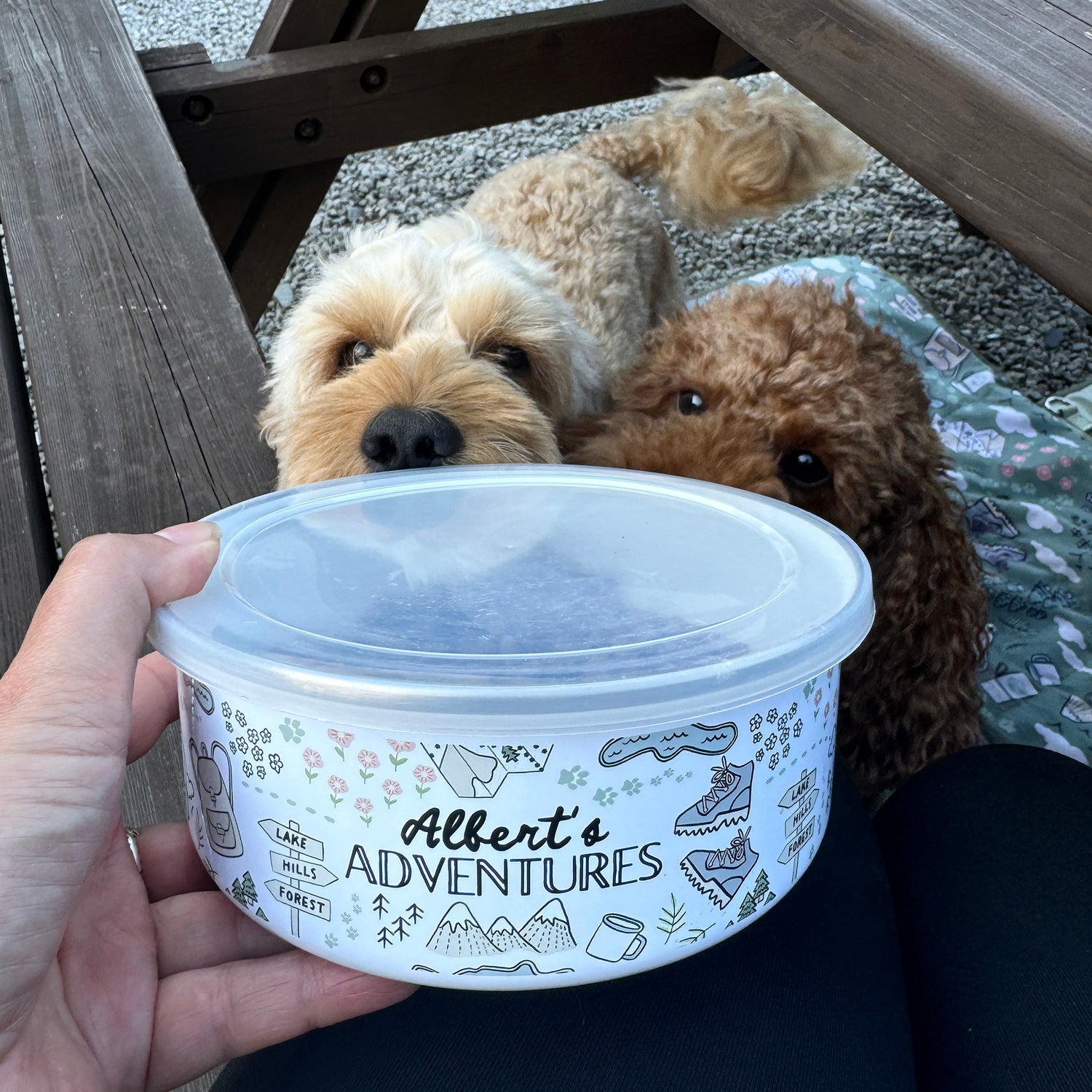 Paws Outdoors Travel Adventure Bowl