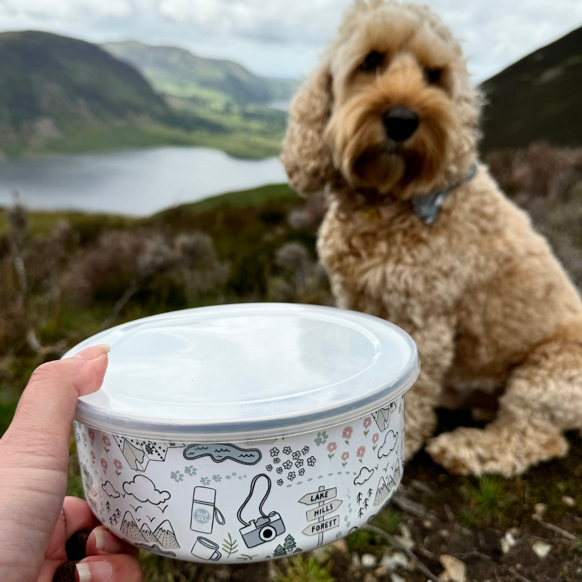 Paws Outdoors Travel Adventure Bowl