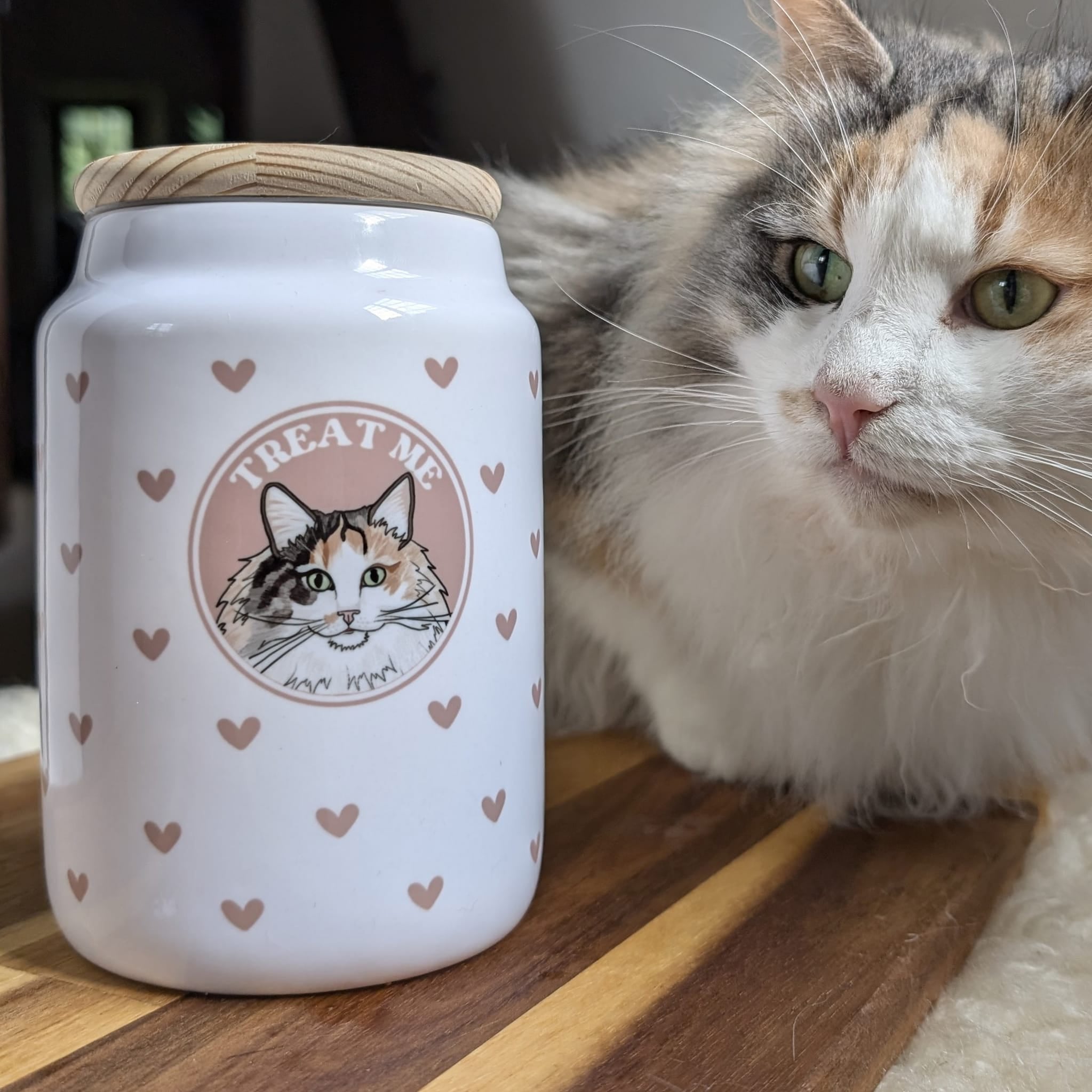 Wanderland Ceramic Pet Treat Jar