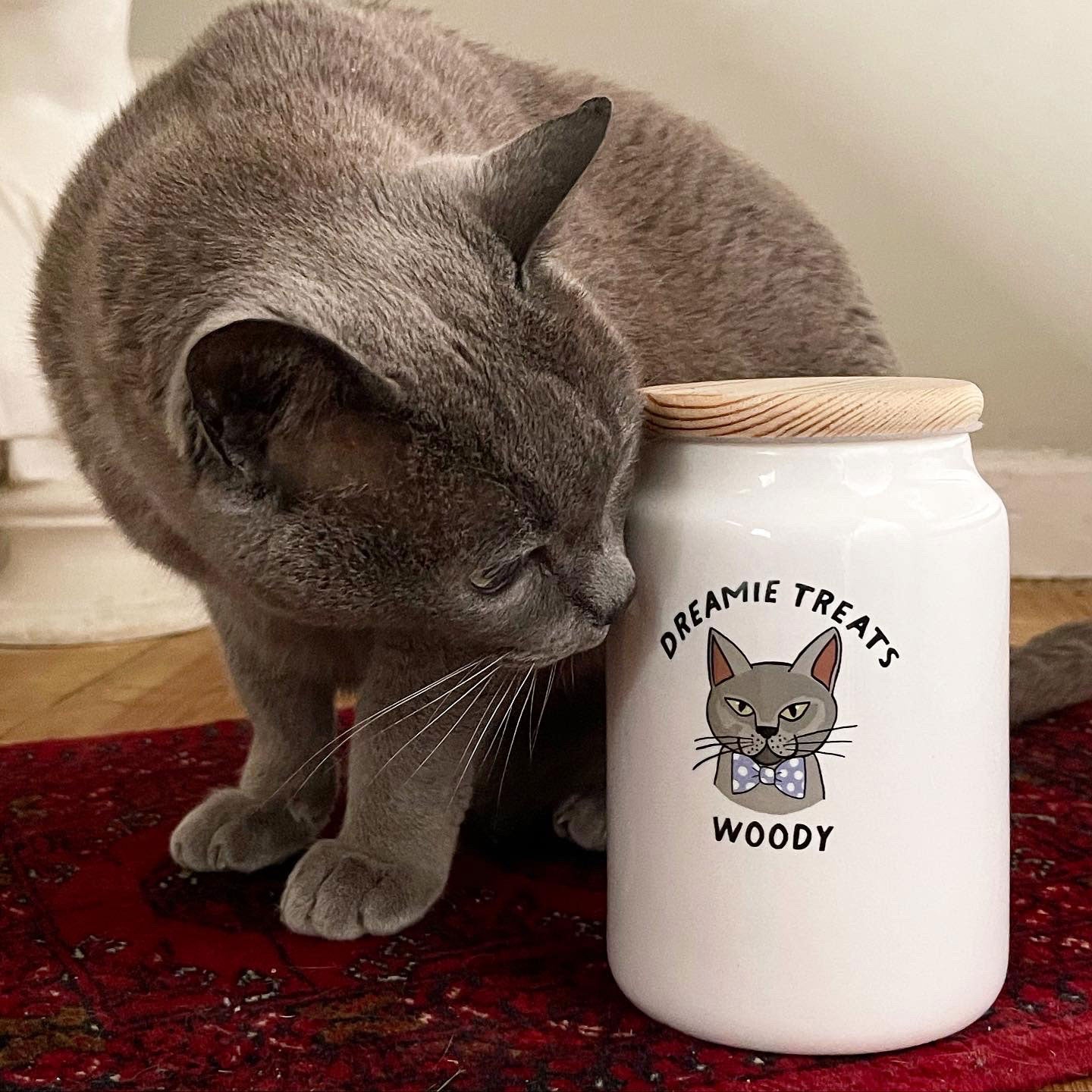 Personalised Cat Treat Jar